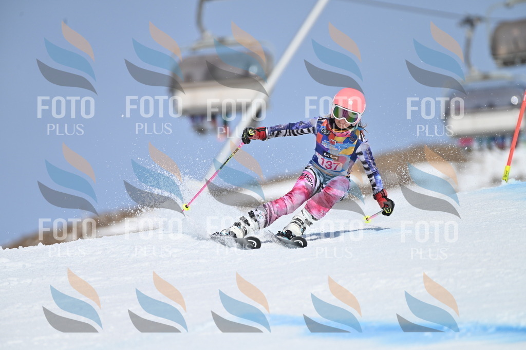 BGV_0081 | holidayphoto