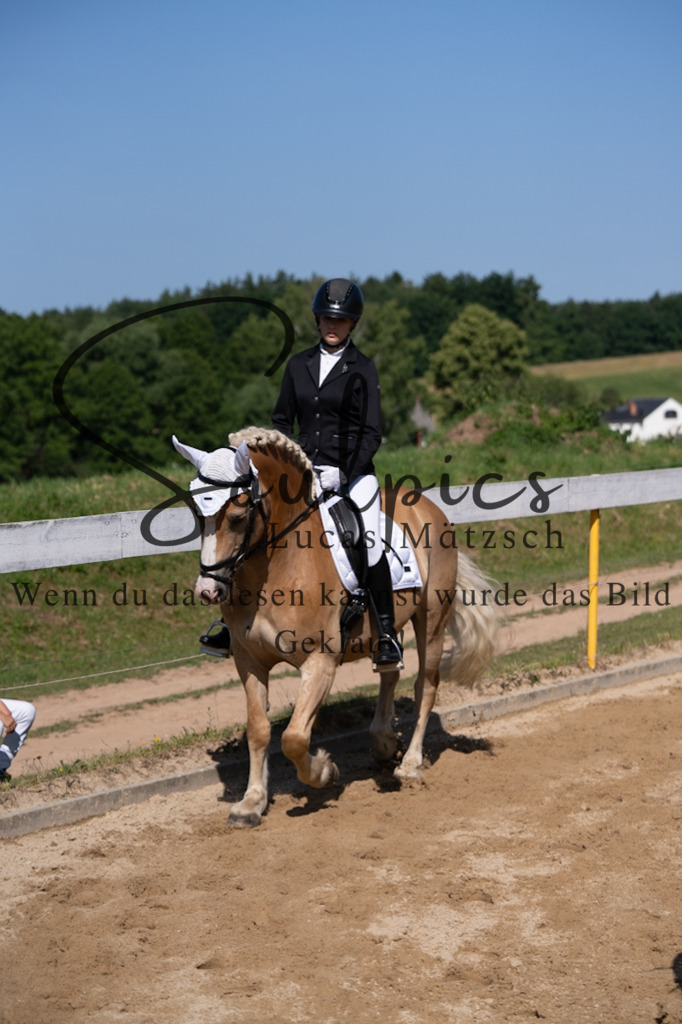 A7V07726 | Turnier/Reitfotograf