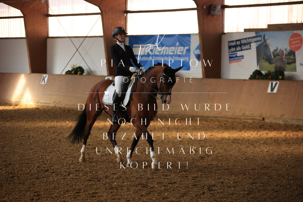 IMGT1416 | pl-fotografie