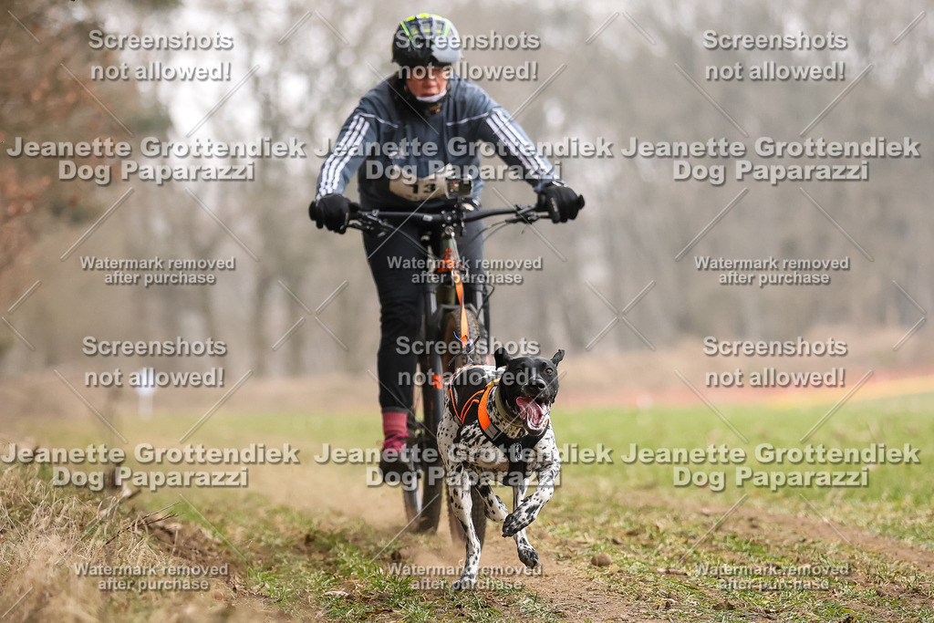 Dog Paparazzi - Plate 2026-46 | Dog Paparazzi Jeanette Grottendiek Fotografie & Videografie - Realisiert mit Pictrs.com