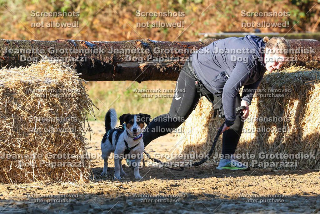 Dog Paparazzi - Strongdog 10-25-931 | Dog Paparazzi Jeanette Grottendiek Fotografie & Videografie - Realisiert mit Pictrs.com