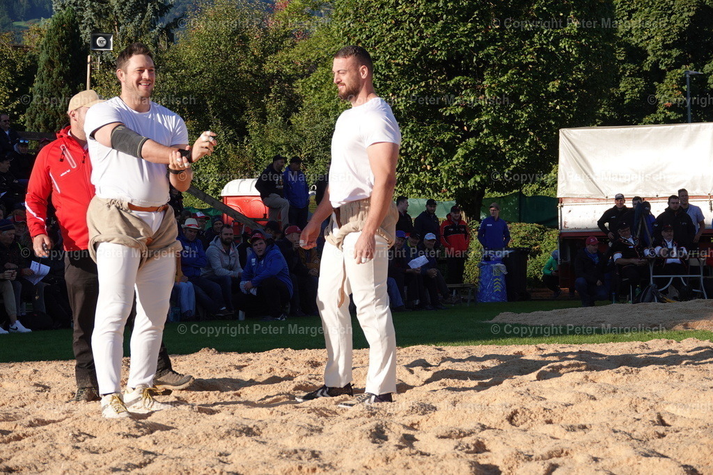 DSC01923 | Schwingen - Realisiert mit Pictrs.com