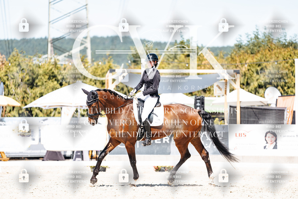 CK909844 | Turnierfotografie Pferdefotografie Trier Rheinland-Pfalz Pferdesport Reitsport Tierfotografie Sportfotografie Pferdevideo Pferdevideografie Equestrianvideography equestrianphotography  - Realisiert mit Pictrs.com