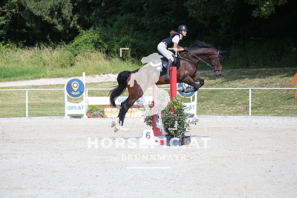 DL2Q1384 | Willkommen bei Brunnmayr - Design & Fotografie – Ihrem Spezialisten für Reitturniere und Pferdeveranstaltungen in Oberösterreich, Salzburg und Bayern! Seit über 17 Jahren sind wir leidenschaftlich dabei.