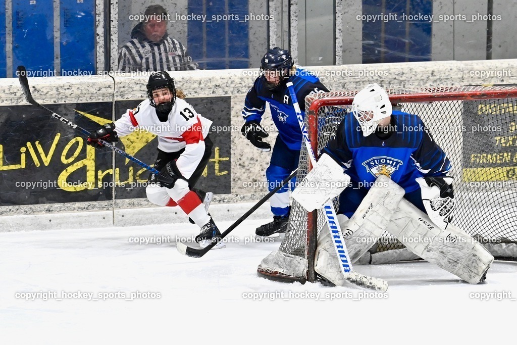 BST_3360 | hockey sports photos, Pressefotos, Sportfotos, hockey247, win 2day icehockeyleague, Handball Austria, Floorball Austria, ÖVV, Kärntner Eishockeyverband, KEHV, KFV, Kärntner Fussballverband, Österreichischer Volleyballverband, Alps Hockey League, ÖFB, 