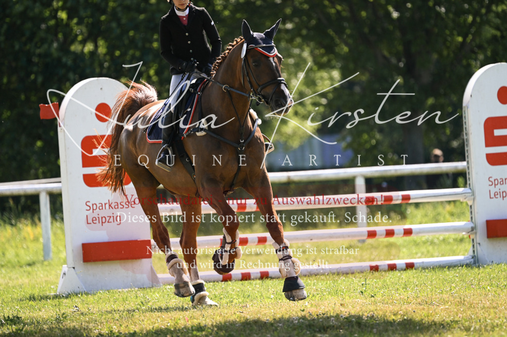 DSC_8741 | Pferde- und Turnierfotografie in Westsachsen. Pferdeportraits, Auftragszeichnungen und intuitive Kunst.