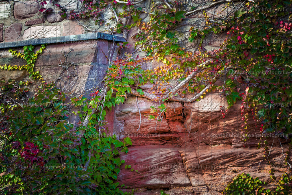 20251019172438D75_8937 | Kaufen sie online außergewöhnliche Fotografien auf Leinwand Acrylglas Fotoprint Aludibond von holgerweigeltfotografie - Realisiert mit Pictrs.com