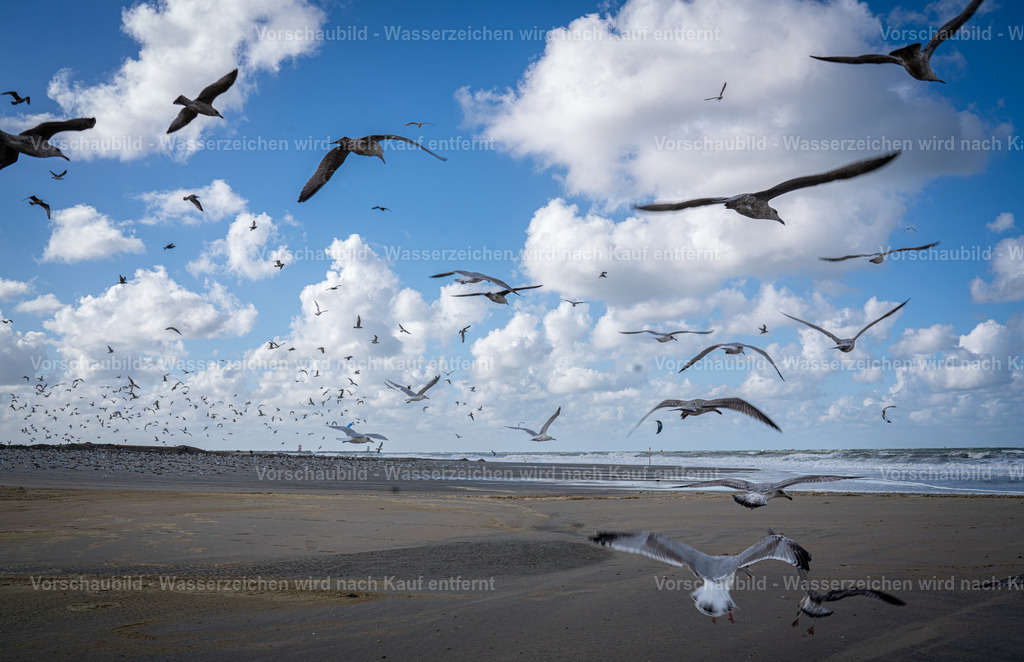 DSC00854-Enhanced-NR | marcuslinek