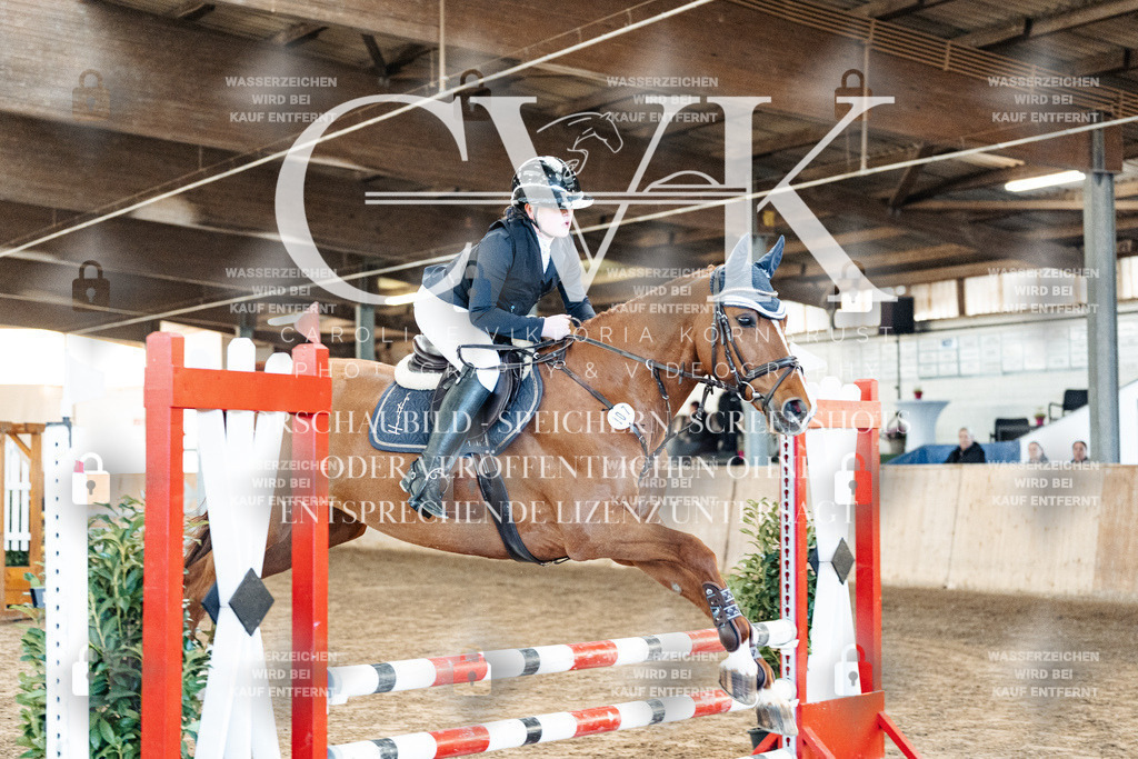 CK903741 | Turnierfotografie Pferdefotografie Trier Rheinland-Pfalz Pferdesport Reitsport Tierfotografie Sportfotografie Pferdevideo Pferdevideografie Equestrianvideography equestrianphotography  - Realisiert mit Pictrs.com