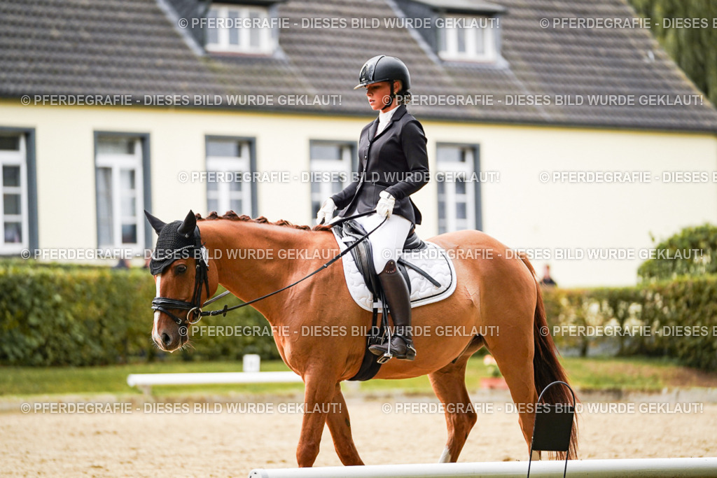 DSC08168 | Pferdegrafie