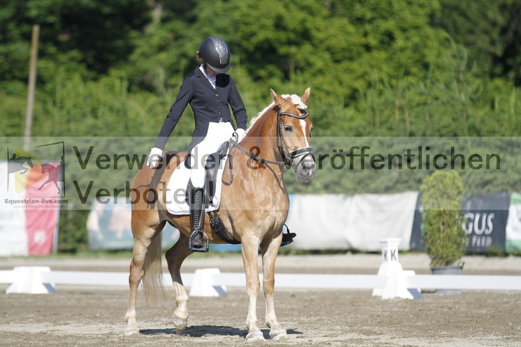 _MG_0567 | equestrian-live-com