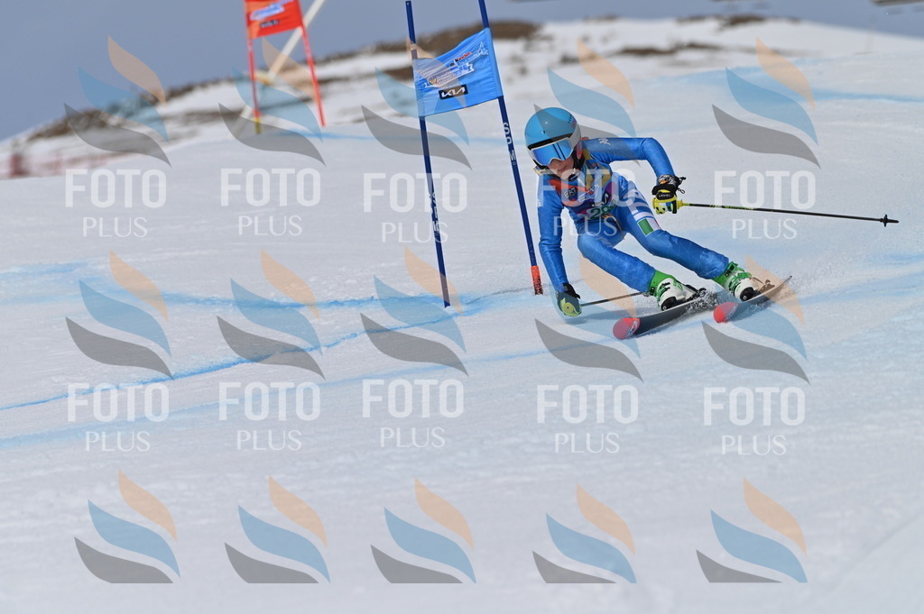 BGV_5748 | holidayphoto