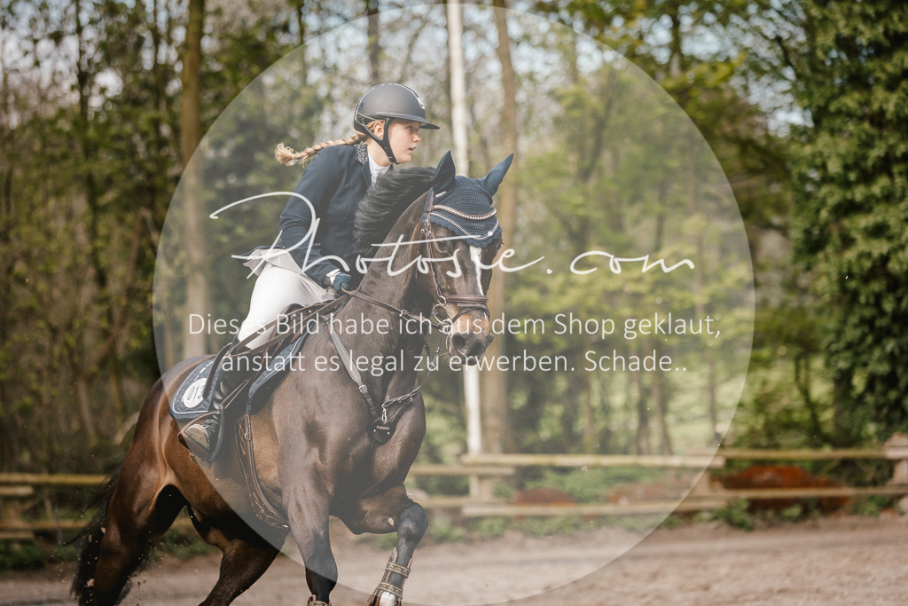 3I6A3346 | Stimmungsvolle Portraits und Reitsportfotografie im Ruhrgebiet und im Münsterland.

Pferdefotografie, Hundefotografie, Tierfotografie, Reportagen, Portraits von Tier und Mensch, Turnierfotografie in Bochum, Recklinghausen, Marl, Haltern am See, Dülmen.. - Realisiert mit Pictrs.com