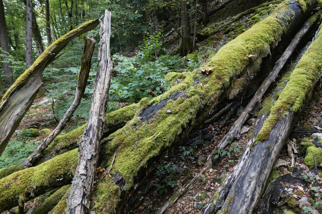 ZD250916101836 | default