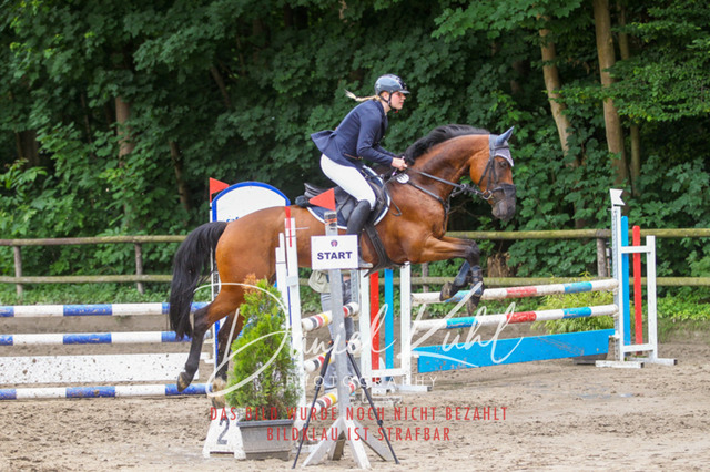 DKP45068 | Turnierfotos kaufen im Webshop von Daniel Kuhl Photography – entdecke professionelle Reitsportfotos aus Turnieren & Events. Hochwertige Turnierbilder online bestellen & sichern. Jetzt Fotos von Reitsportturnieren kaufen!