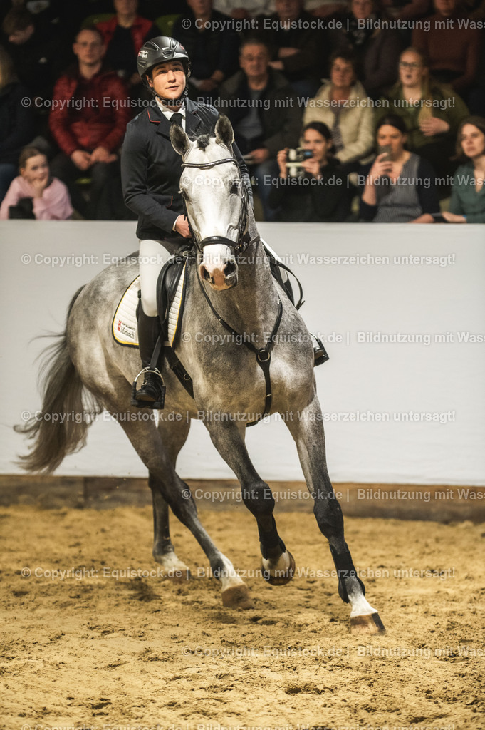 20240302_Hengstvorstellung_Marbach_TOMsPiC_0314 | equistock