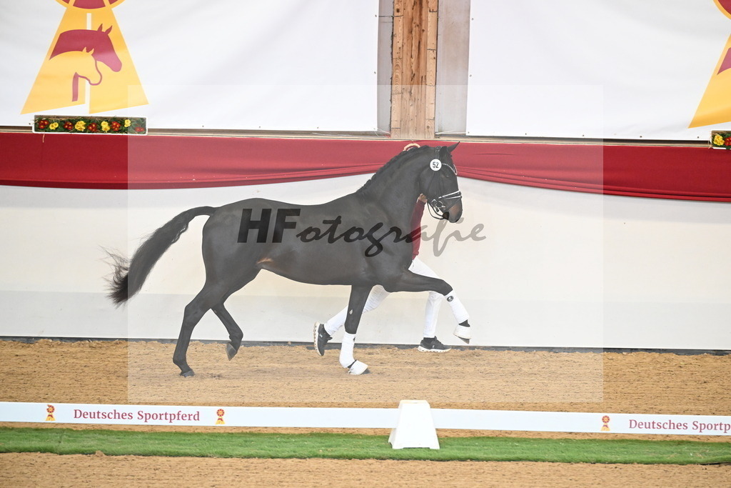 Kat.-Nr. 79 v. Taurus_Beckmann_2250353 | hf-fotografie - Realisiert mit Pictrs.com