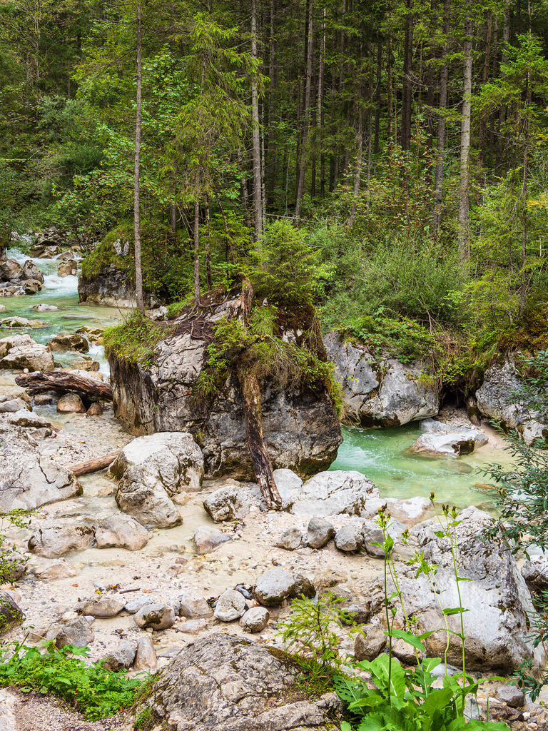 Ramsauer Ache im Zauberwald im Berchtesgadener Land | Ramsauer Ache im Zauberwald im Berchtesgadener Land.