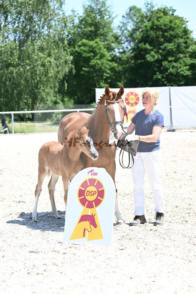 Kat-Nr. 1 SF FS Next Diamond_Kaus_16230653 | hf-fotografie - Realisiert mit Pictrs.com