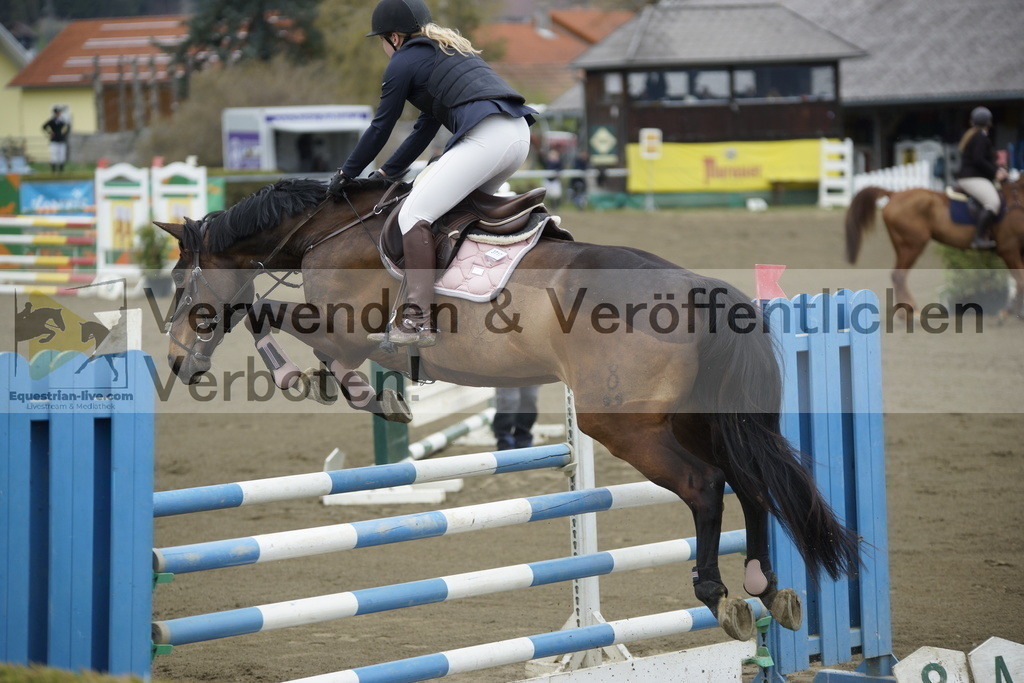 _DSC7081 | equestrian-live-com