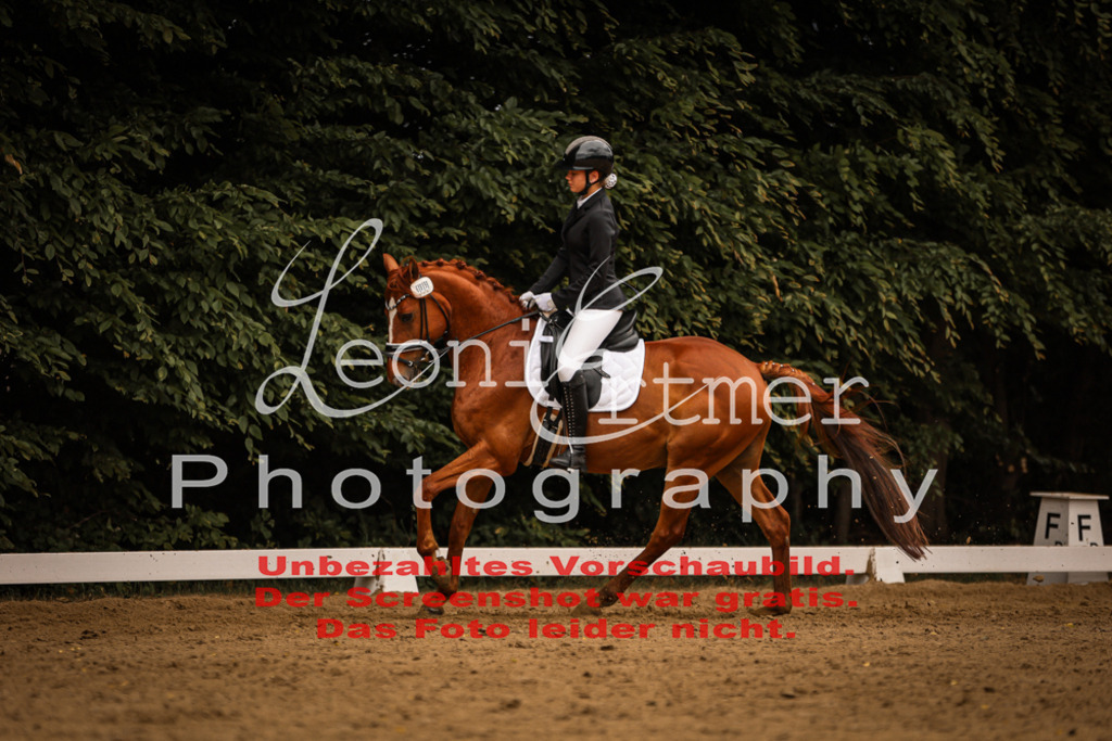 DoDrE00266 | Leoni Ertmer Photography - Realisiert mit Pictrs.com