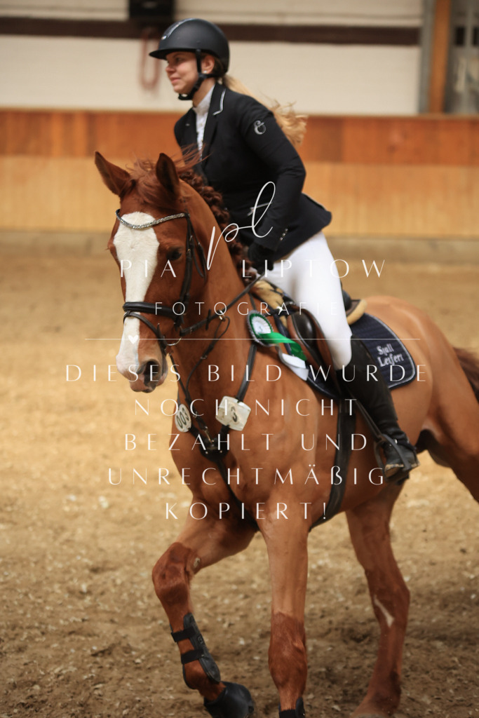 IMGT1334 | pl-fotografie