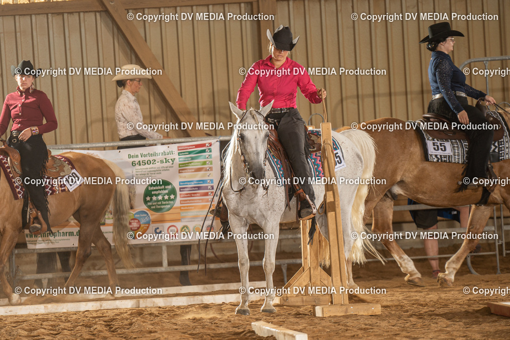 NID02685 | dv-media-shop - Realisiert mit Pictrs.com