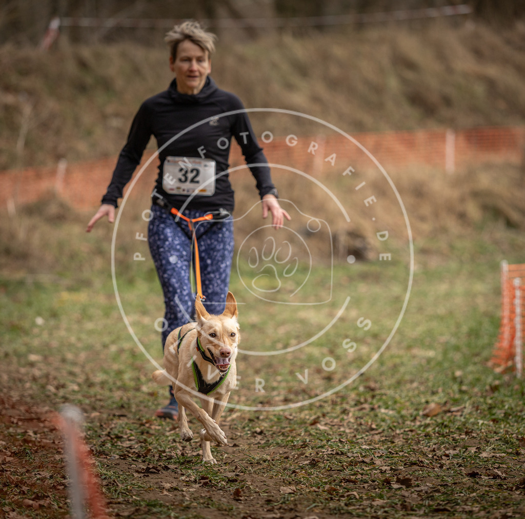 Pfotenfotografie_DV3A9088 | Hundefotografie, Tierfotograf, Pfotenfotografie, Fotoshooting Hund, Hunde Portrait, Hundesport, Hundeportraits, Heideshooting, Hunde, Sportfotograf, Hundefotograf, Turnierhundsport, THS,  - Realisiert mit Pictrs.com