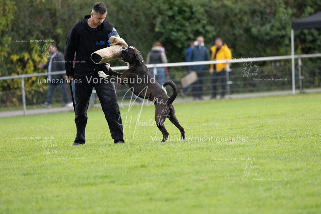 _16A7119 | Einzigartige Fotos von Hunden & Menschen –Actionfotos, Portraits, Vereinsaufnahmen & Paarshootings – authentisch, lebendig & mit Herz.