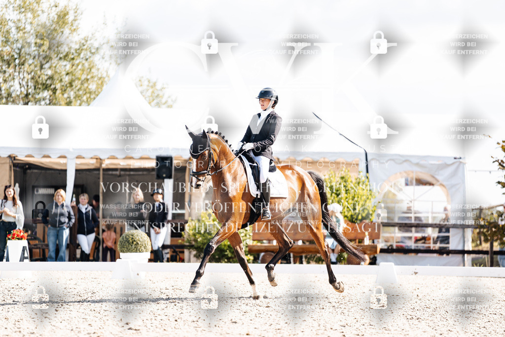 CK902278 | Turnierfotografie Pferdefotografie Trier Rheinland-Pfalz Pferdesport Reitsport Tierfotografie Sportfotografie Pferdevideo Pferdevideografie Equestrianvideography equestrianphotography  - Realisiert mit Pictrs.com