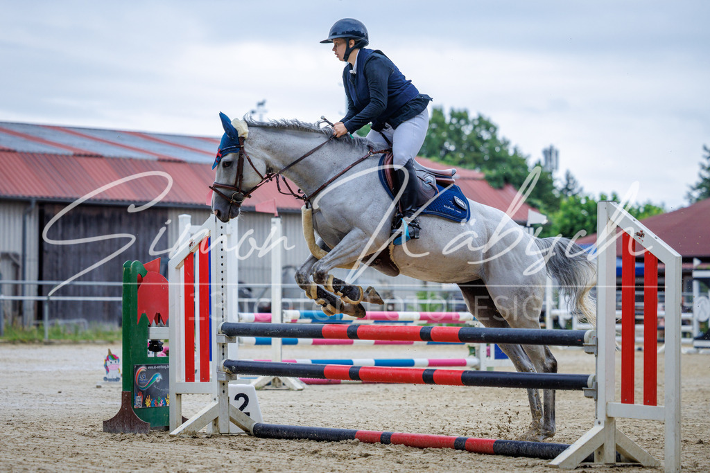 20260705-_3LI3421 | Tierfotografie Pferde, Hunde, Katzen, Haustiere.
Turnierfotografie Reitturniere, Reiten, Springreiten, Dressur in Hanau, dem Main-Kinzig-Kreis und dem Rhein-Main- Gebiet um Frankfurt