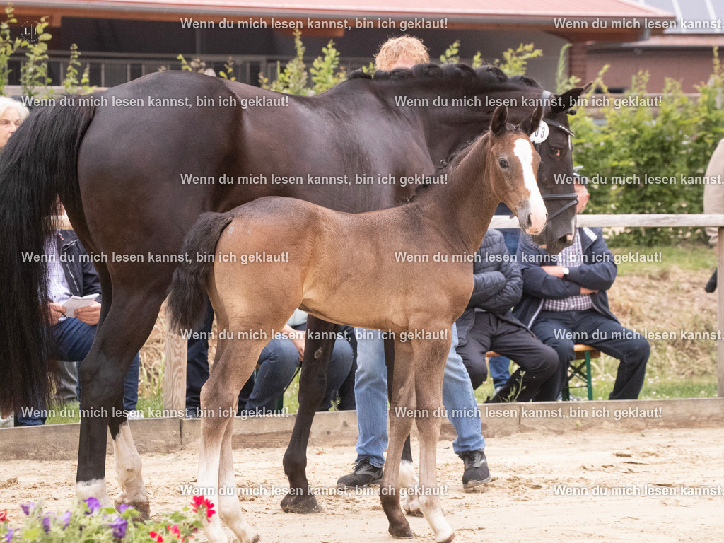 A10I9642 | photographylinaismer - Realisiert mit Pictrs.com