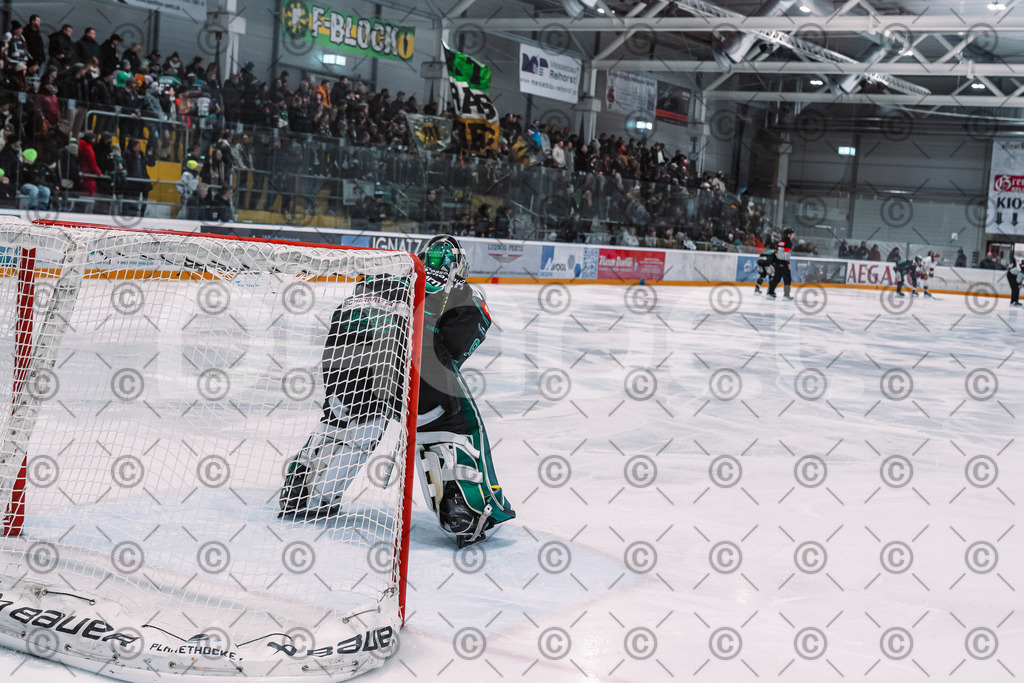 Alligators_vs_Deggendorf_30_11_2025-081 | Höchstadt Alligators Fotogalerie: Eishockey-Action aus Franken. Professionelle Spielfotos, Portraits & Stadionbilder zum Download. Jetzt entdecken! - Realisiert mit Pictrs.com