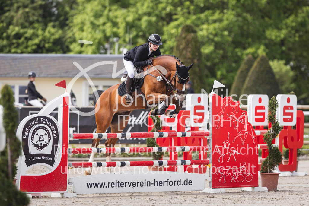 260510_PfSpTa_4_L-Stil-414 | Deine schönsten Turniermomente als professionelle Fotos! Entdecke hochwertige Pferdesport-Fotografie im Online-Shop. Jetzt Fotos finden & bestellen!
