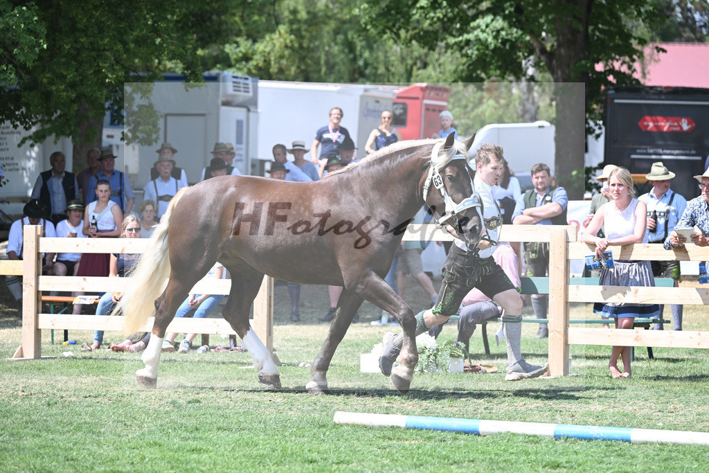 Kat-Nr. 63 Isar_Zwickl_20231029 | hf-fotografie - Realisiert mit Pictrs.com