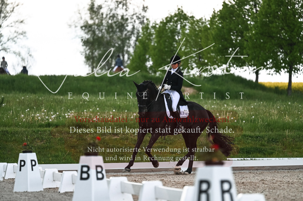 20230514_JK-Röhrsdorf-21-448 | Pferde- und Turnierfotografie in Westsachsen. Pferdeportraits, Auftragszeichnungen und intuitive Kunst.