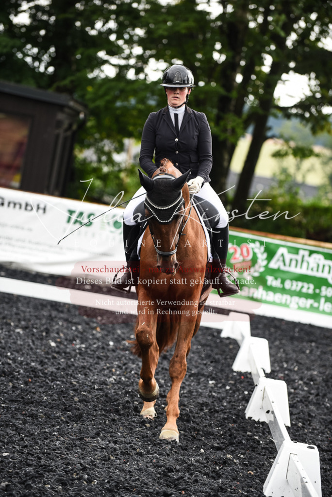 DSC_2885 | Pferde- und Turnierfotografie in Westsachsen. Pferdeportraits, Auftragszeichnungen und intuitive Kunst.