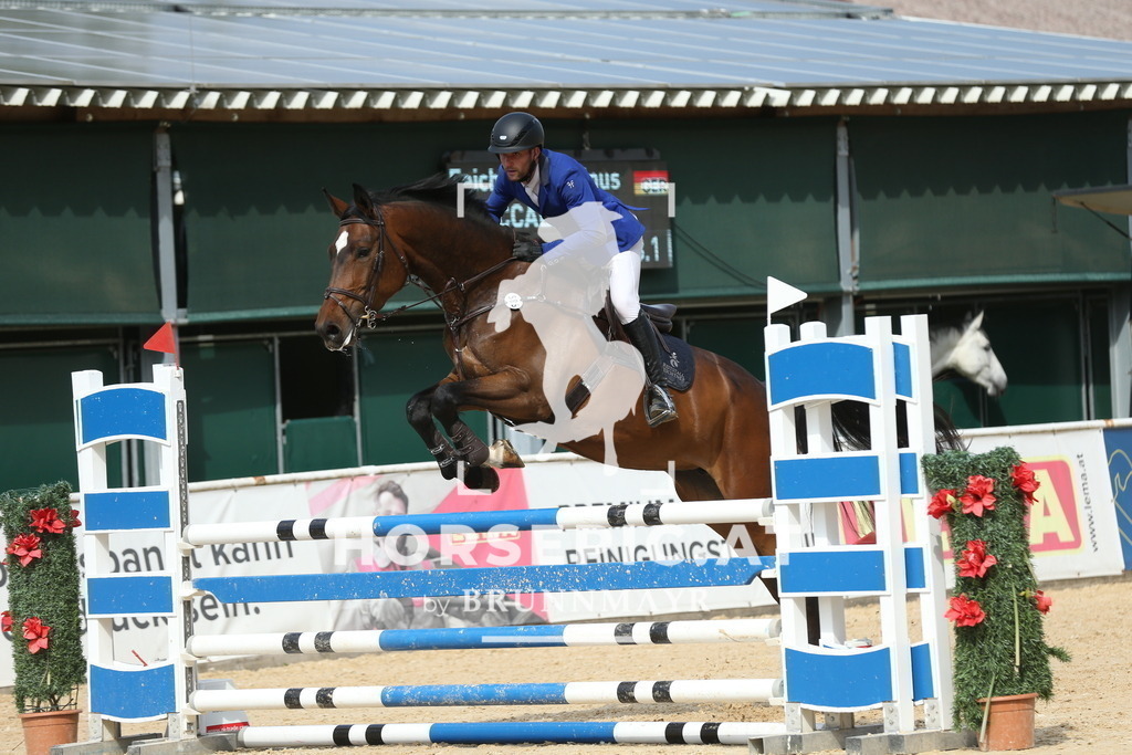 DL2Q6701 | Willkommen bei Brunnmayr - Design & Fotografie – Ihrem Spezialisten für Reitturniere und Pferdeveranstaltungen in Oberösterreich, Salzburg und Bayern! Seit über 17 Jahren sind wir leidenschaftlich dabei.