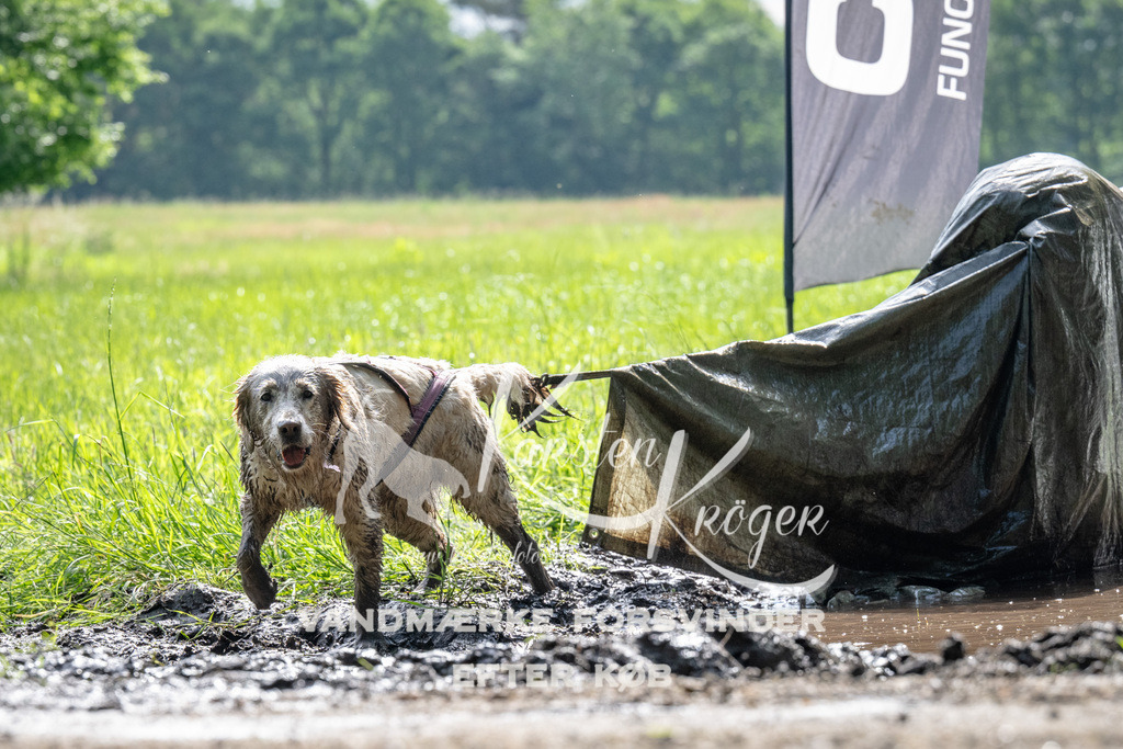 0914_ZZ90509 | kk-dogfotos