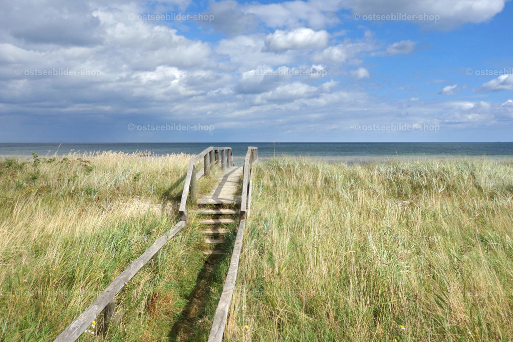 Holzsteg über eine Ostseedüne | Ein hölzerner Steg führt durch Strandhafer auf einer Düne zum Meer.