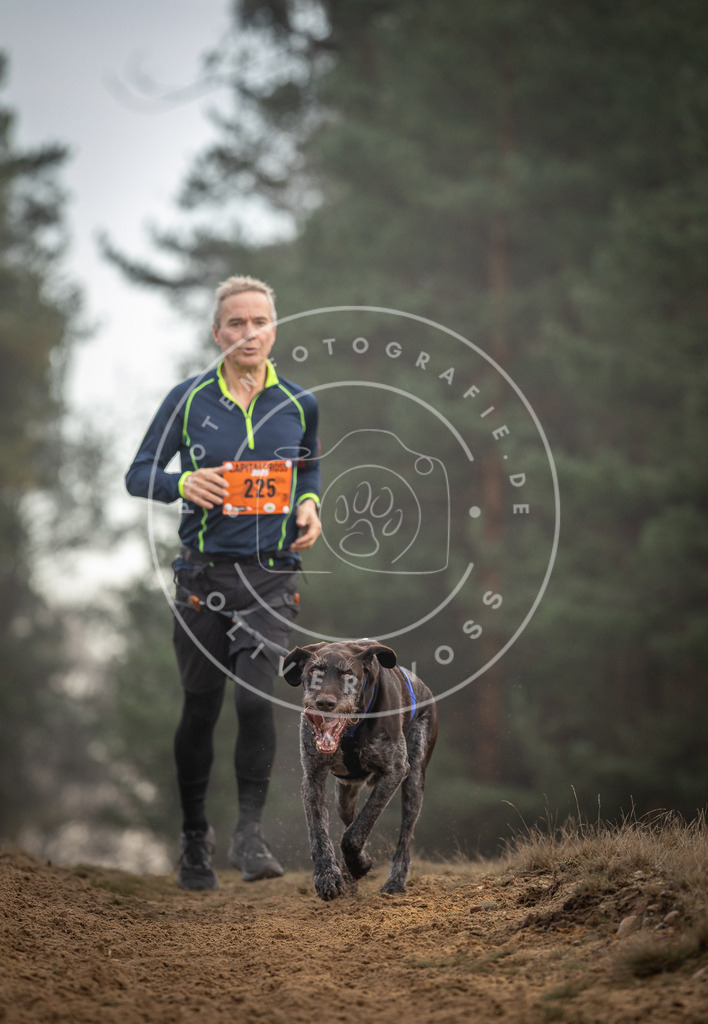 Pfotenfotografie_DV3A5417 | Hundefotografie, Tierfotograf, Pfotenfotografie, Fotoshooting Hund, Hunde Portrait, Hundesport, Hundeportraits, Heideshooting, Hunde, Sportfotograf, Hundefotograf, Turnierhundsport, THS,  - Realisiert mit Pictrs.com