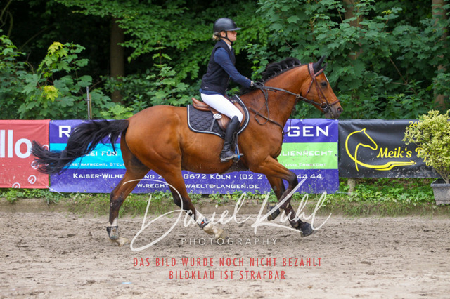 DKP45038 | Turniersportfotografie; Pferdefotografie; Dressurfotografie