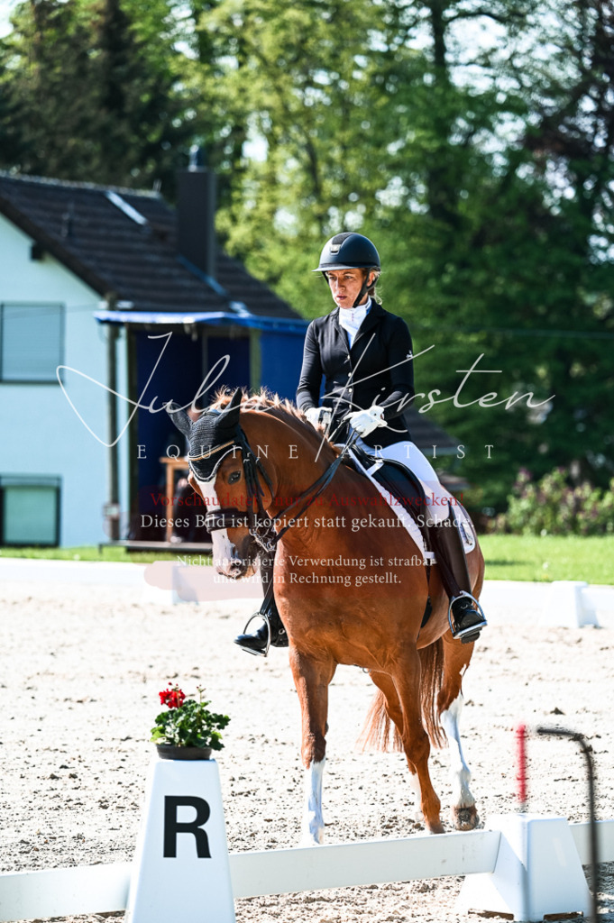 20230513_JK-Röhrsdorf-10-0328 | Pferde- und Turnierfotografie in Westsachsen. Pferdeportraits, Auftragszeichnungen und intuitive Kunst.