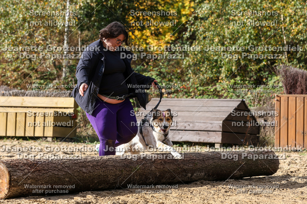 Dog Paparazzi - Strongdog 10-25-5134 | Dog Paparazzi Jeanette Grottendiek Fotografie & Videografie - Realisiert mit Pictrs.com