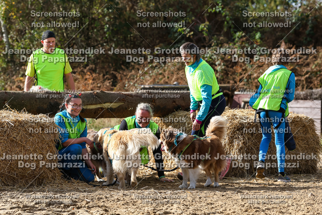 Dog Paparazzi - Strongdog 10-25-5592 | Dog Paparazzi Jeanette Grottendiek Fotografie & Videografie - Realisiert mit Pictrs.com