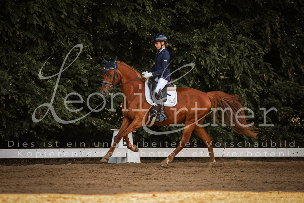 10.FrDrL00120 | Leoni Ertmer Photography - Realisiert mit Pictrs.com