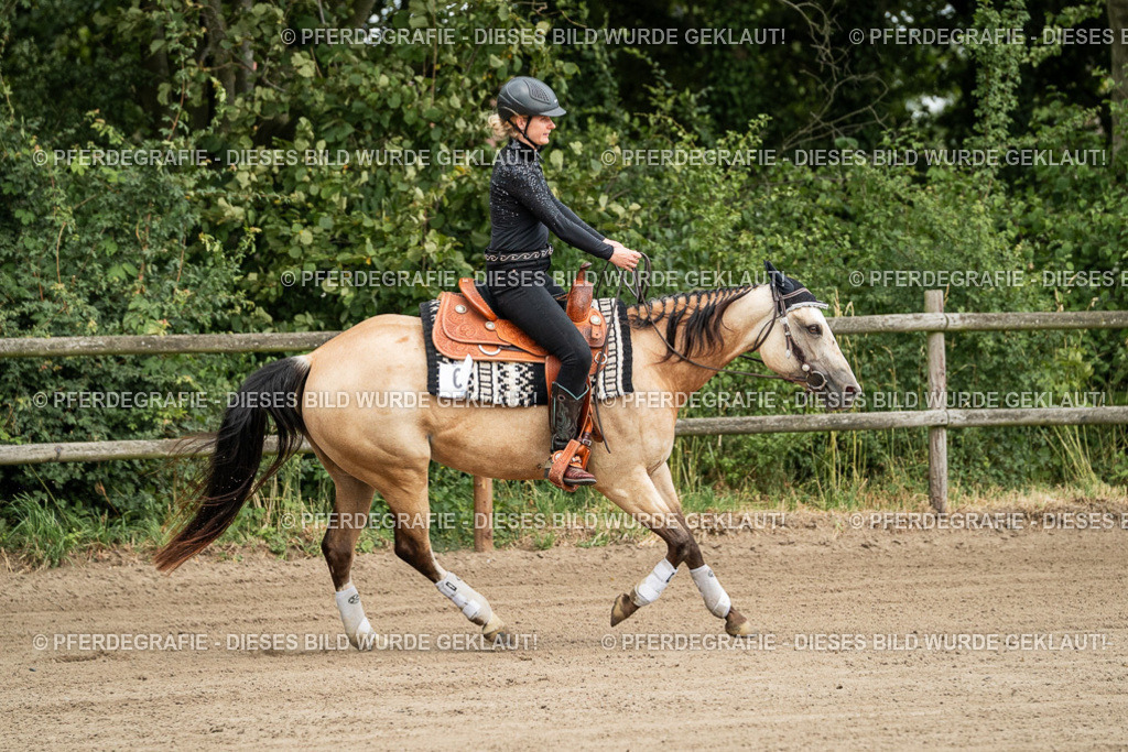 DSC04726 | Pferdegrafie