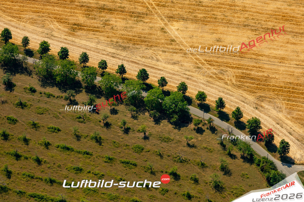 Das Luftbild zeigt : Allee Arnstein - Die Luftaufnahme wurde 2023 vom UL-Flugzeug aus erstellt ( keine Drohne ) - Hochauflösende Luftaufnahme - Für grossformatige Ausdrucke geeignet. Die Geschenkidee !Mit Lizenz und Bildrechte bestellbar