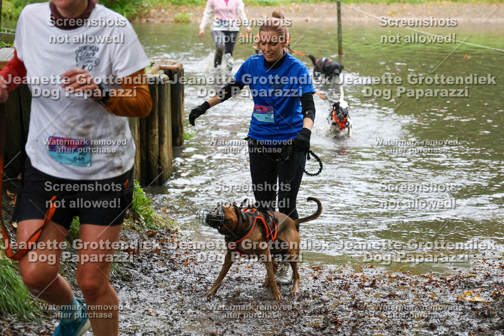 Dog Paparazzi -  SD1026-8205 | Dog Paparazzi Jeanette Grottendiek Fotografie & Videografie - Realisiert mit Pictrs.com