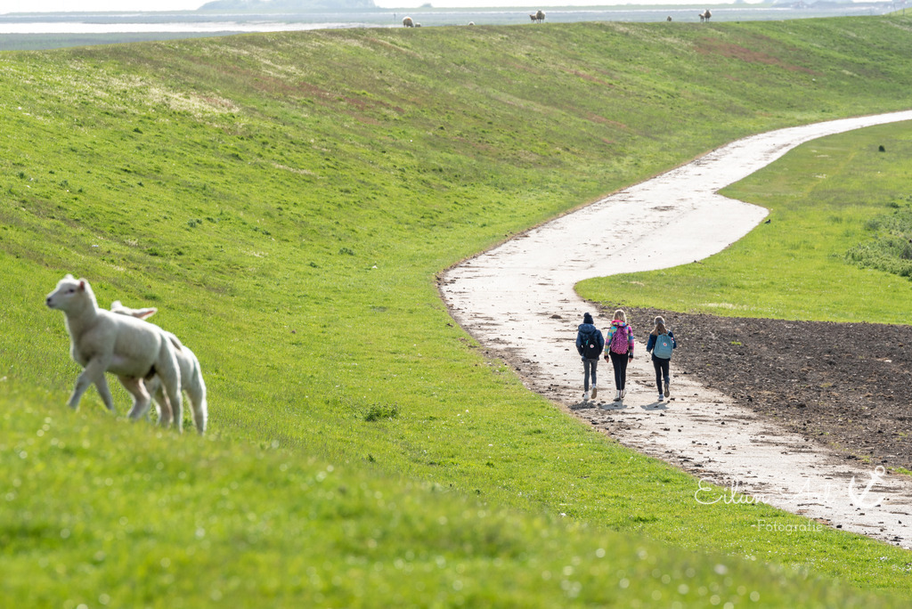 EAF_1043 | Eilun-Art-Fotografie Levke Martens, ihre Fotografin für Immobilien- und Landschaftsfotografie auf Föhr, Föhrer Motive als Poster, Leinwand, hinter Acrylglas oder stelle dir deinen eigenen Monatskalender zusammen, mit nur einem Klick